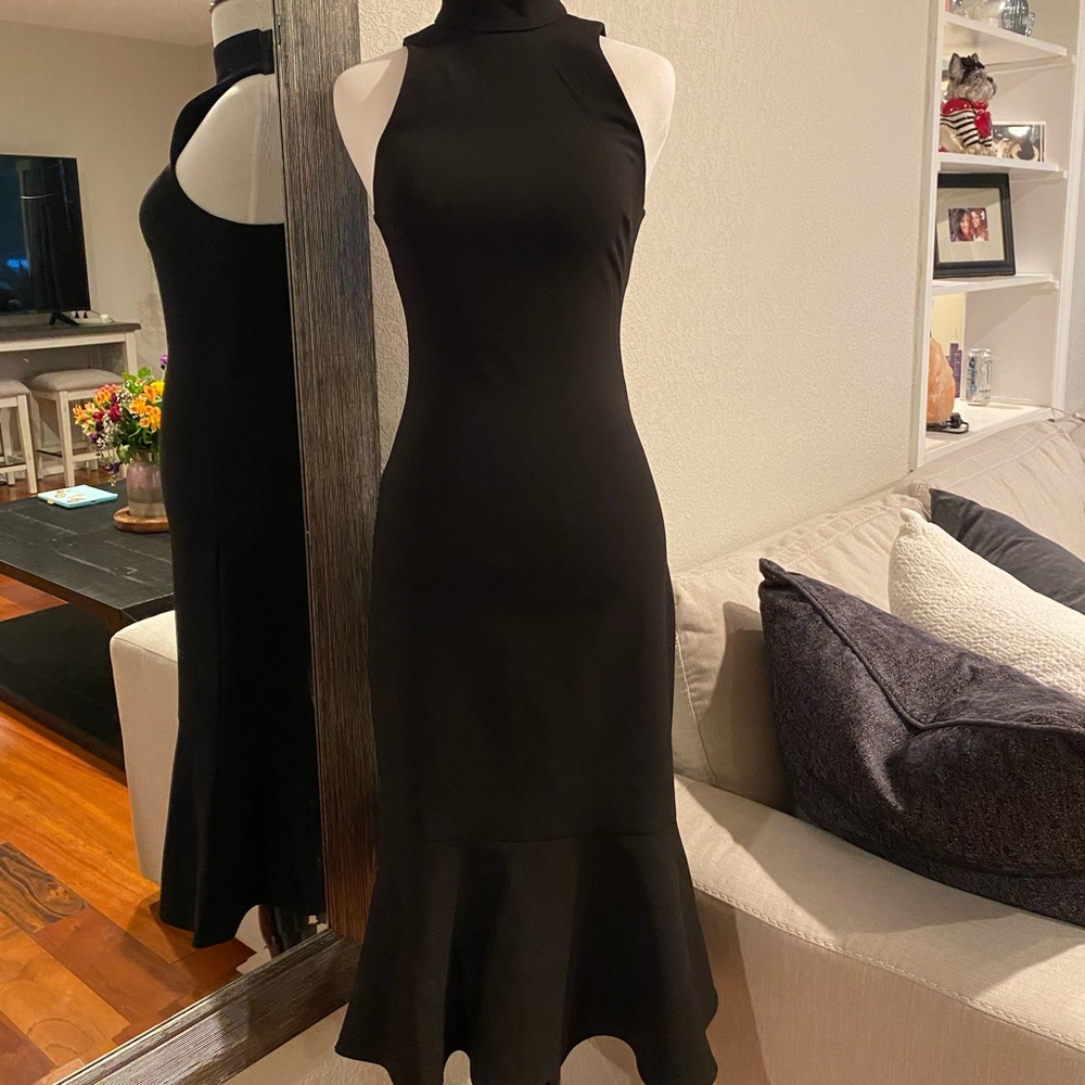 LIKELY raelynn stretch high neck sleeve dress (NWT but see description)